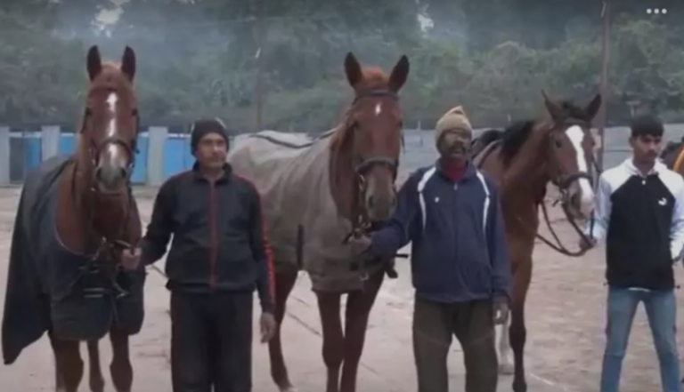 Screenshot_20250108-081629~2