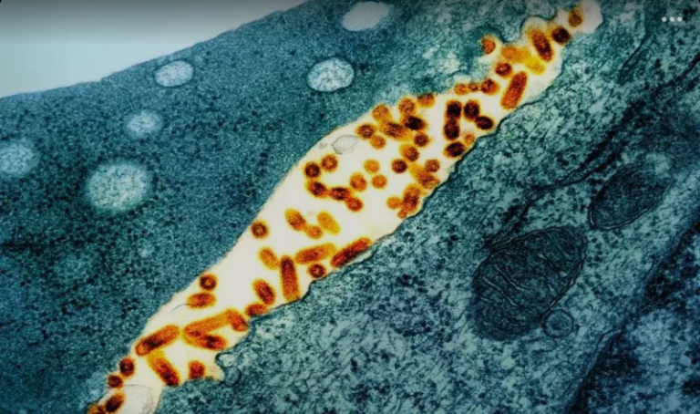 Screenshot_20250109-081316~2