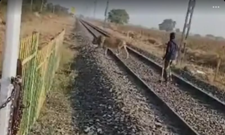 Screenshot_20250109-081945~2