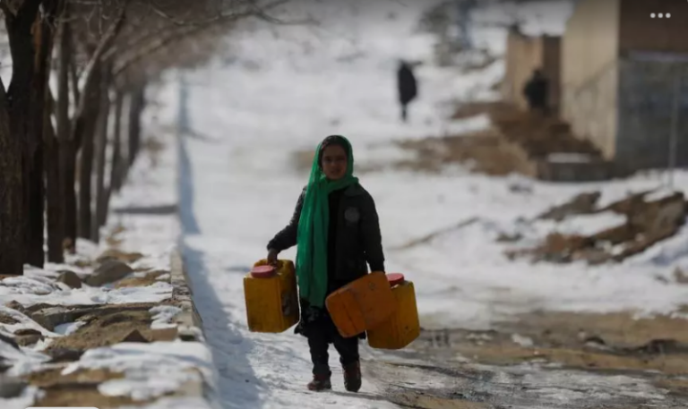 Screenshot_20250113-215237~2