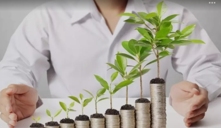 Screenshot_20250115-080742~2