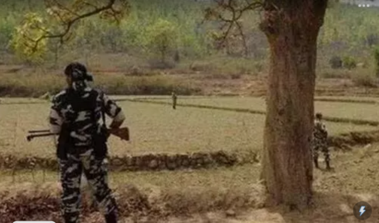 Screenshot_20250117-084250~2