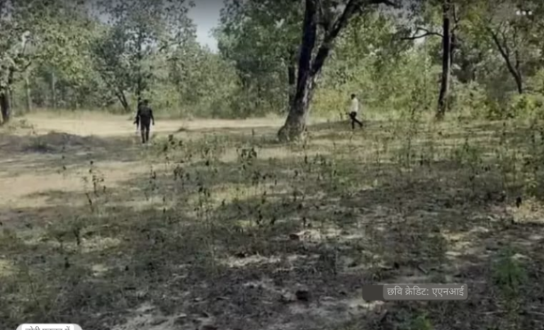 Screenshot_20250129-082450~2