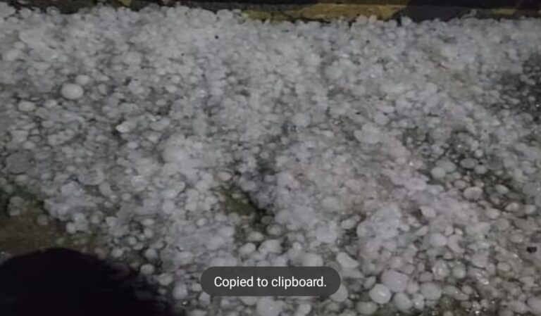 Screenshot_20250504_074813_WhatsApp