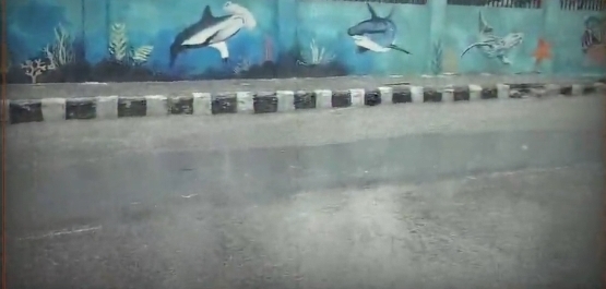 Screenshot_20250504_081722_Chrome