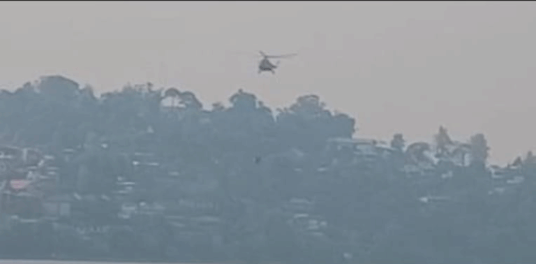 Screenshot_20250508-081924~2