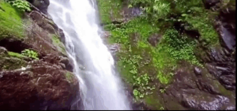 Screenshot_20250511-073035~2