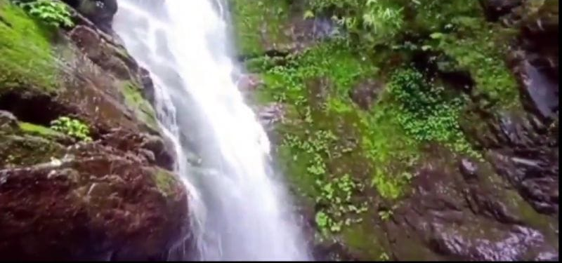 Screenshot_20250511-073035~2