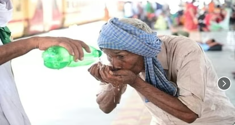 Screenshot_20250513-080352~2