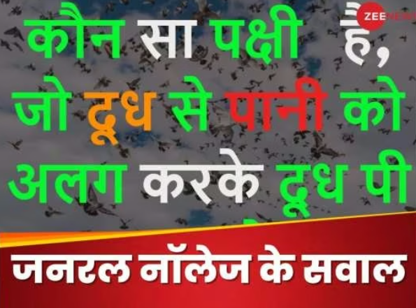 Screenshot_20250515-183622~2