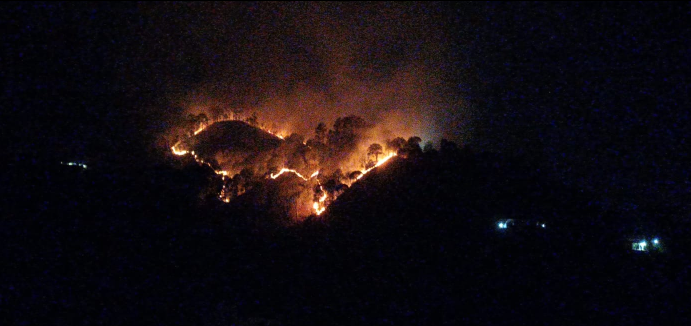 Screenshot_20250515-235133~2