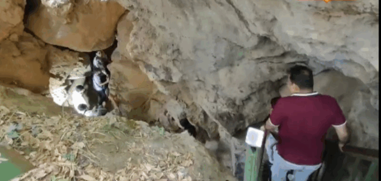 Screenshot_20250516-071510~2