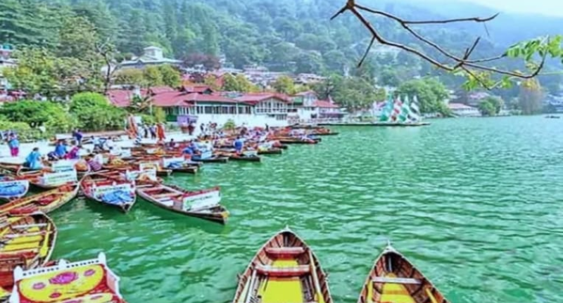 Screenshot_20250519-073612~2