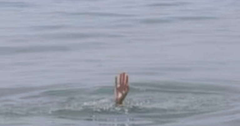 Screenshot_20250520-074055~2