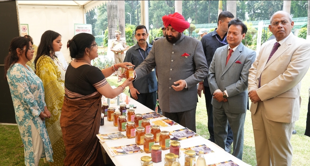 Screenshot_20250520_175945_WhatsApp