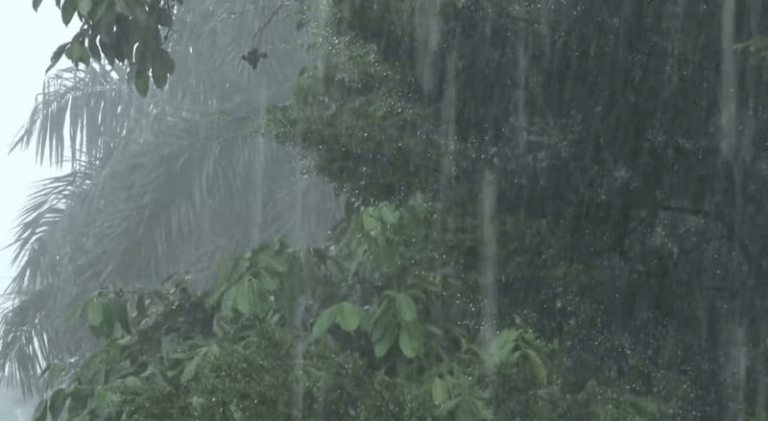 Screenshot_20250522-073635~2