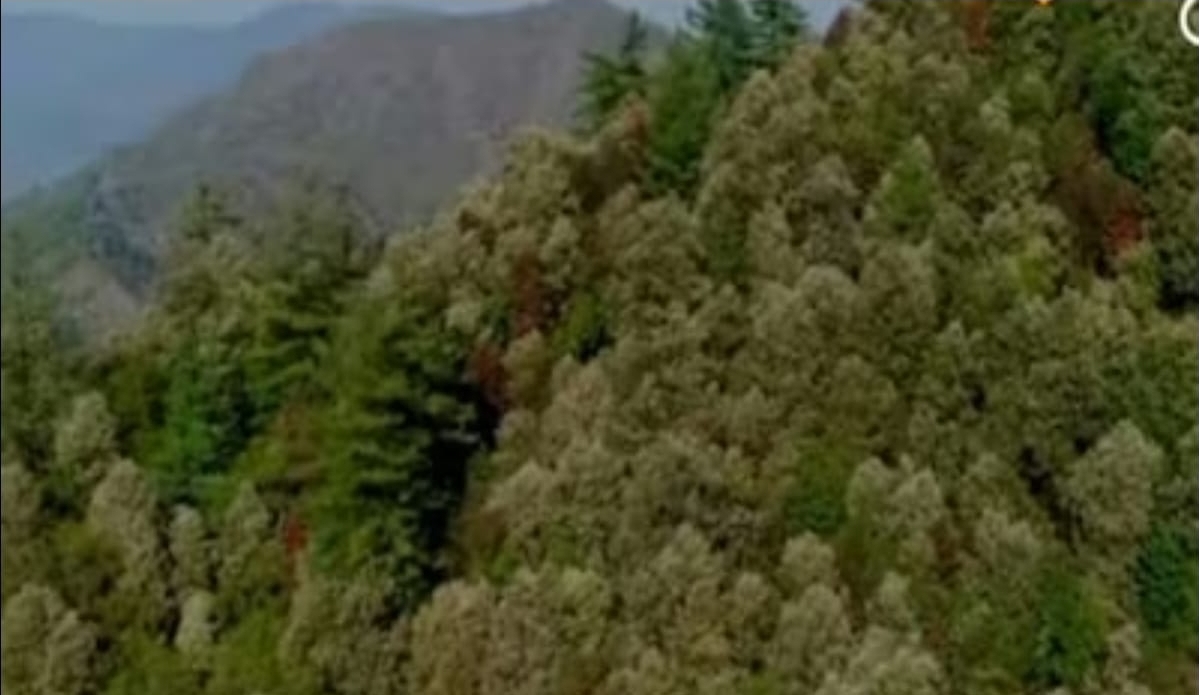 Screenshot_20250527_075049_WhatsApp