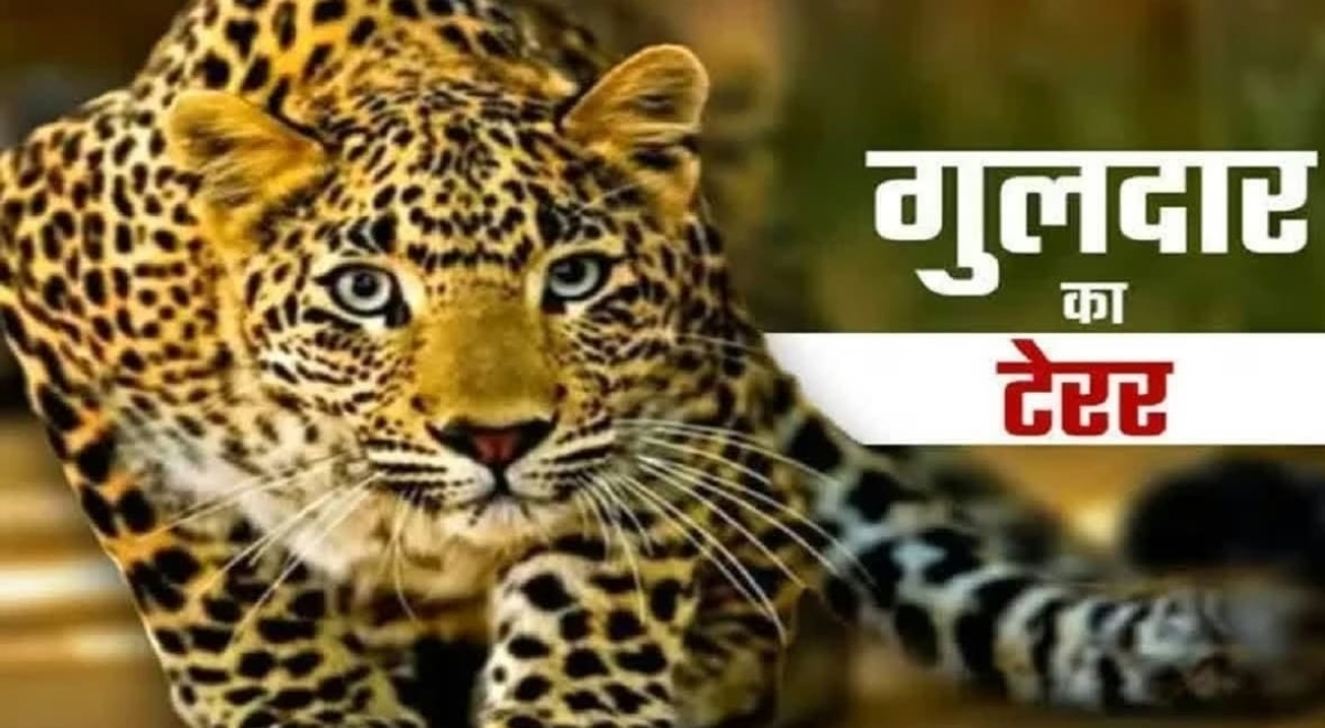 Screenshot_20250529_075849_WhatsApp