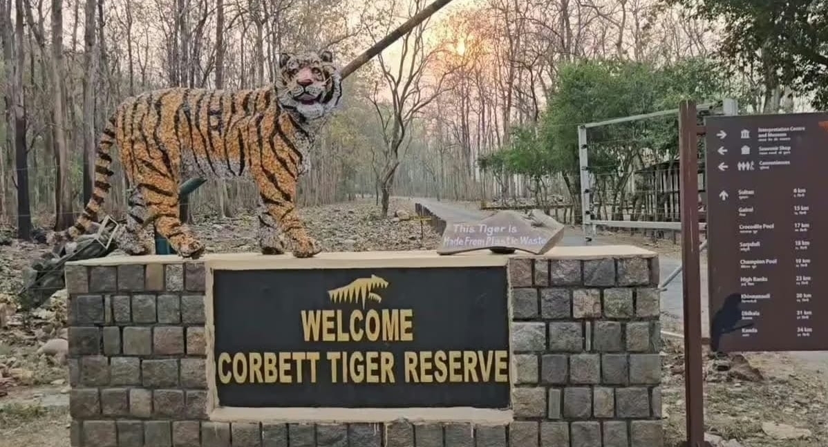 Screenshot_20250530_083924_WhatsApp