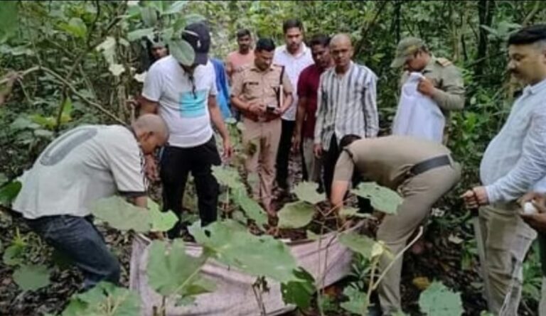 Screenshot_20250601_054244_WhatsApp