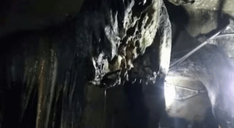 Screenshot_20250605-073326~2