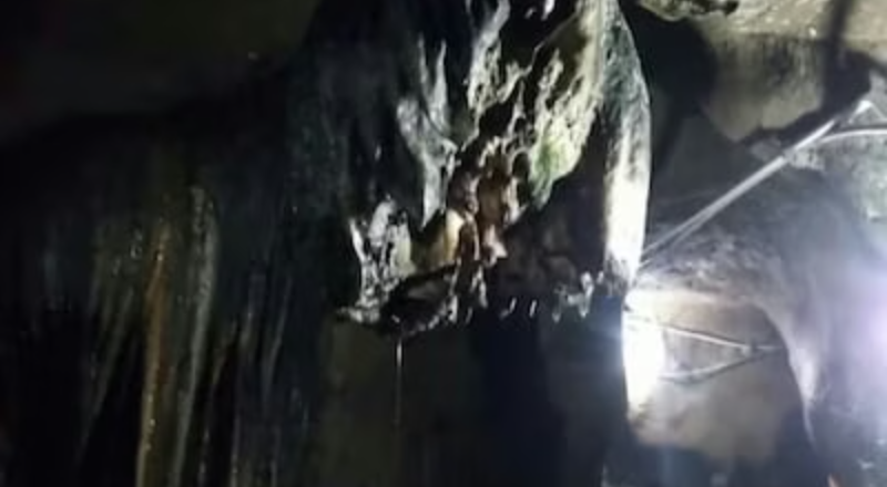 Screenshot_20250605-073326~2