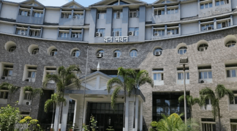 Screenshot_20250606-073508~2