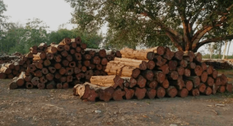 Screenshot_20250608-064930~2