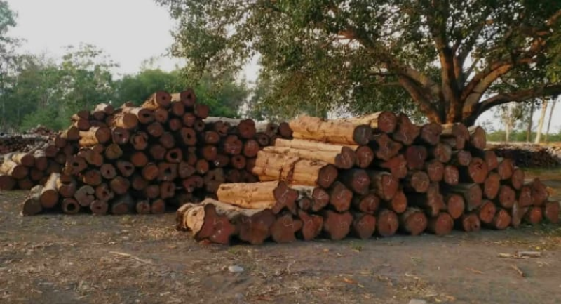 Screenshot_20250608-064930~2