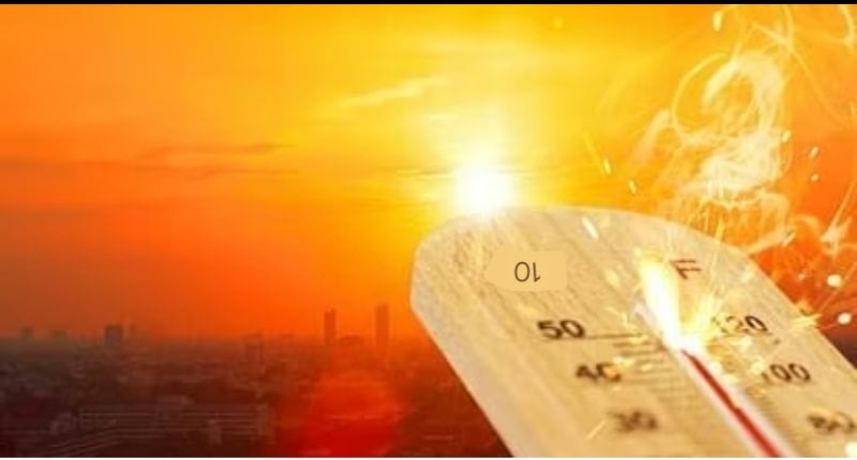 Screenshot_20250611_071527_WhatsApp