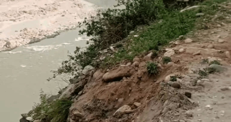 Screenshot_20250612-075852~2