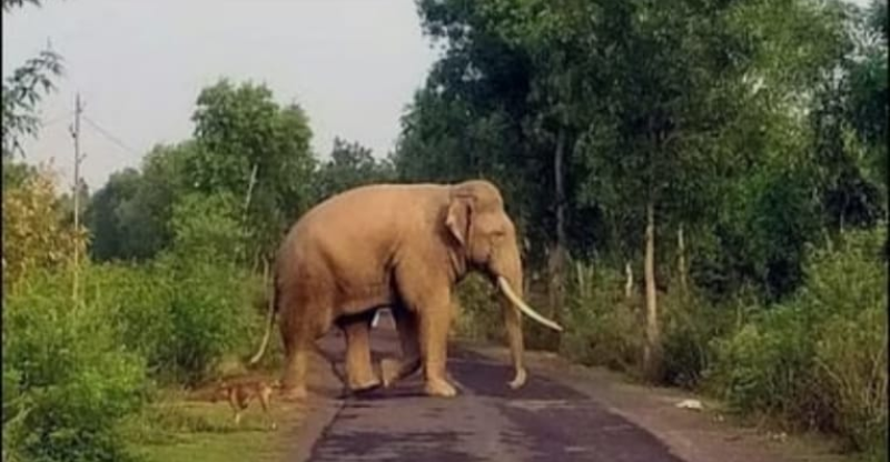 Screenshot_20250612-080208~2