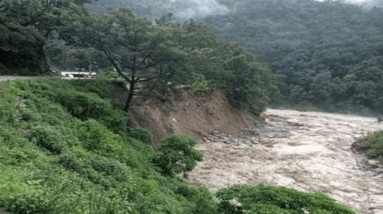 Screenshot_20250612-082338~2