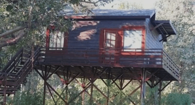 Screenshot_20250627-071342~2