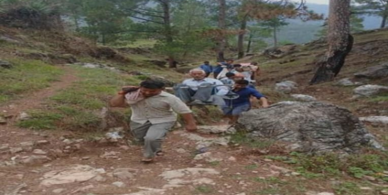 Screenshot_20250701-072414~2