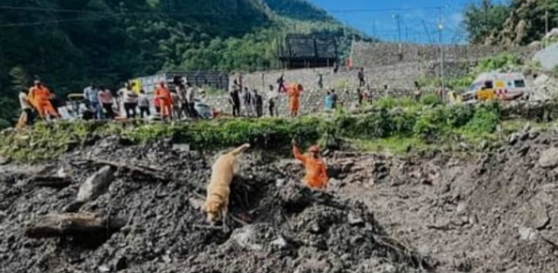 Screenshot_20250703-074330~2