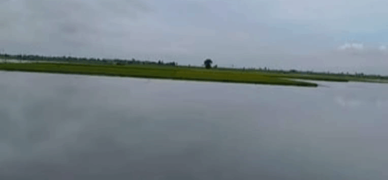 Screenshot_20250703-075314~2