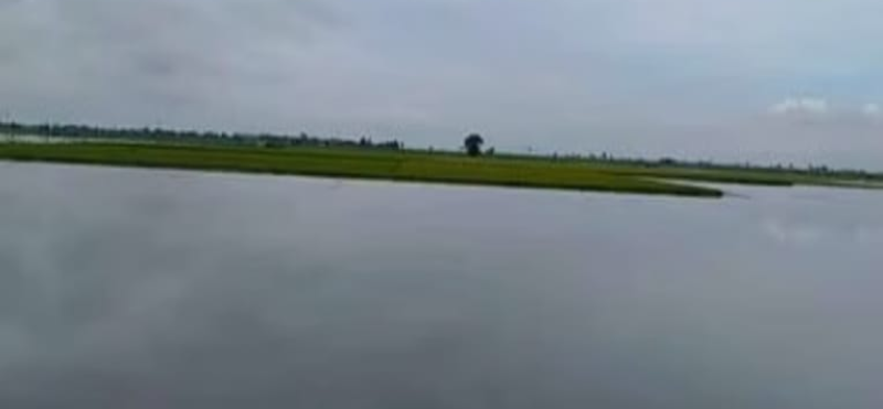 Screenshot_20250703-075314~2