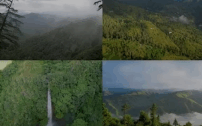 Screenshot_20250703-075521~2