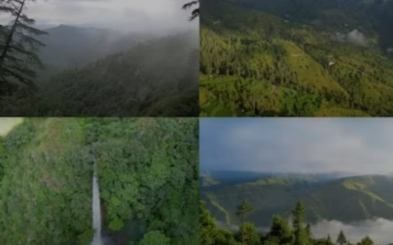 Screenshot_20250703-075521~2