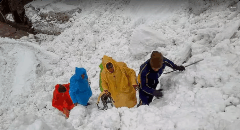 Screenshot_20250703-204330~2