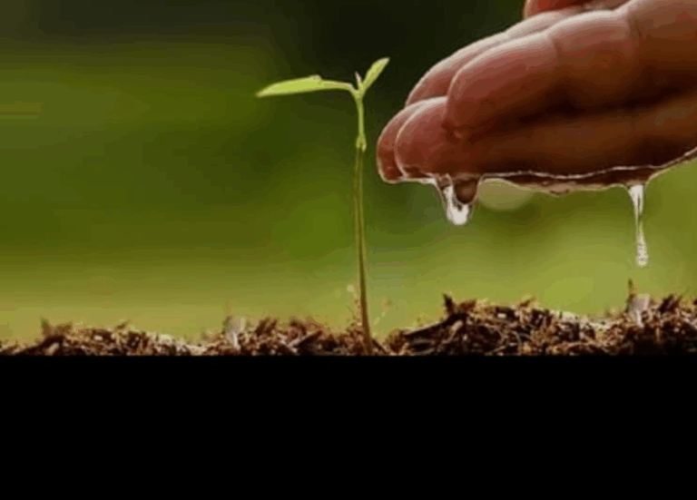 Screenshot_20250704-074532~2