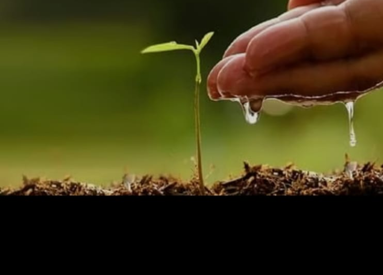 Screenshot_20250704-074532~2