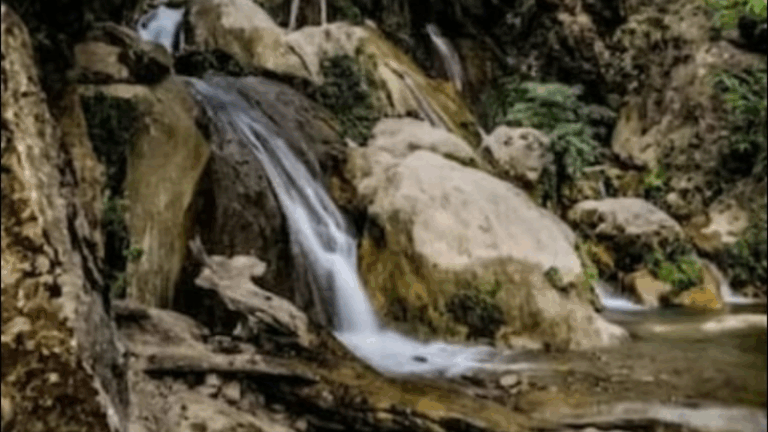 Screenshot_20250704-075250~2