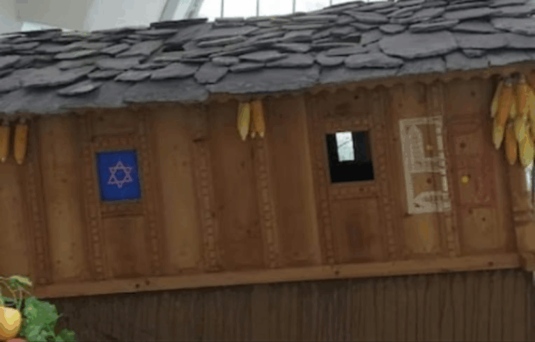 Screenshot_20250706-075901~2