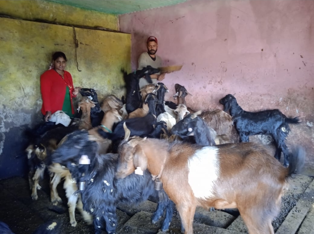 Screenshot_20250707_201424_WhatsApp