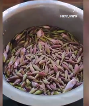 Screenshot_20250709-074947~2