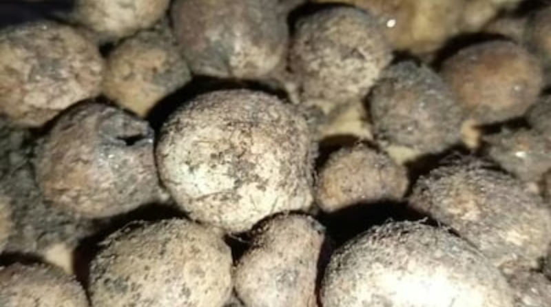 Screenshot_20250709-080057~2