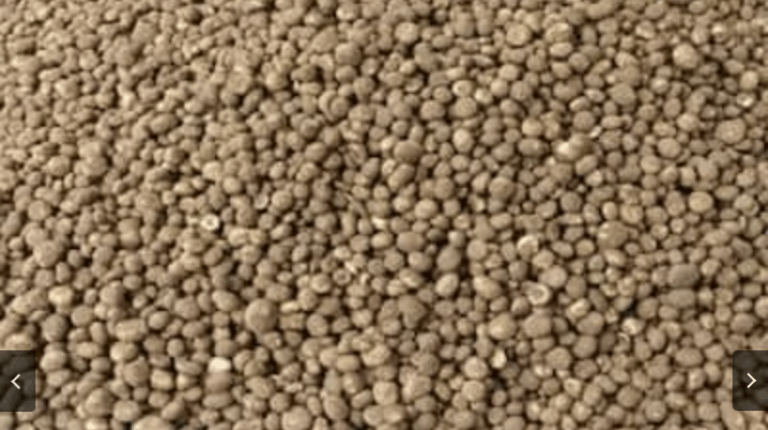 Screenshot_20250711-081213~2