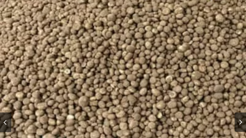 Screenshot_20250711-081213~2